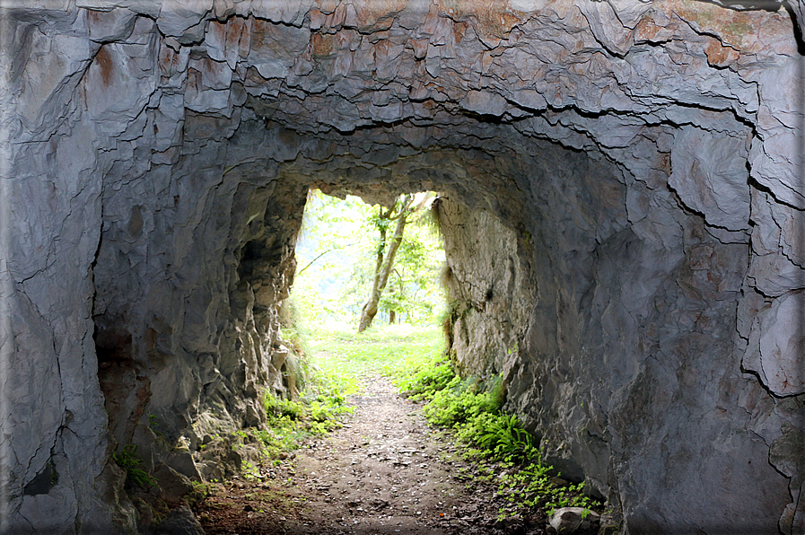 foto Gallerie del Col Campeggia